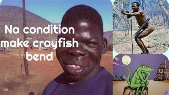 17 hilarious Nigerian pidgin proverbs and their meaning 17 hilarious Nigerian pidgin proverbs and their meaning