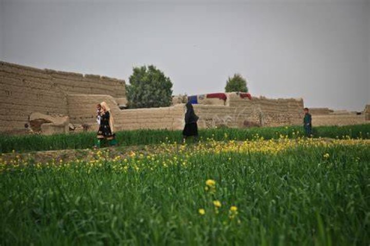 Afghanistan