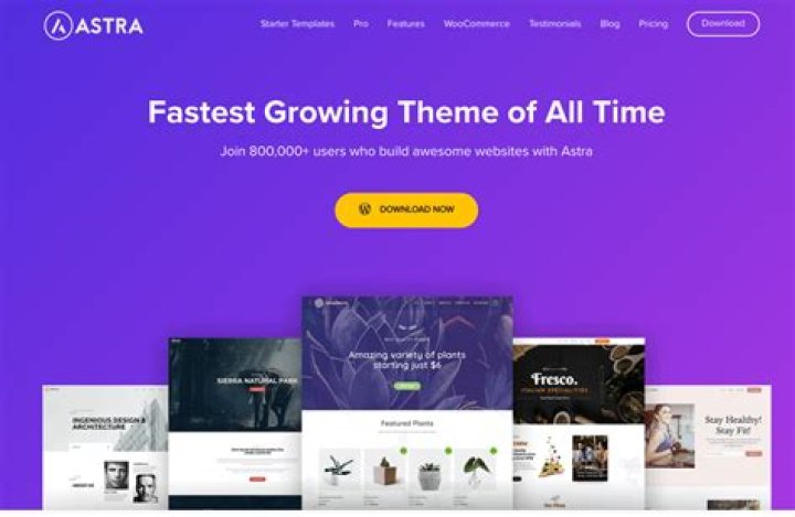 Astra Theme Astra Theme