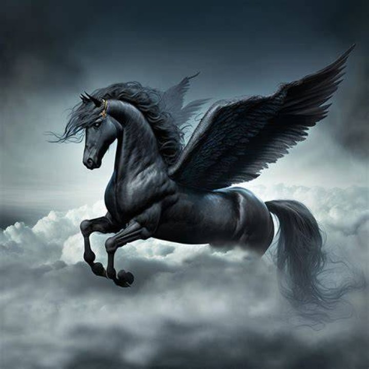 Black Pegasus Black Pegasus