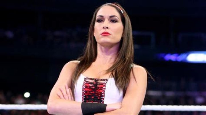 Brie Bella's Net Worth and Financial Success