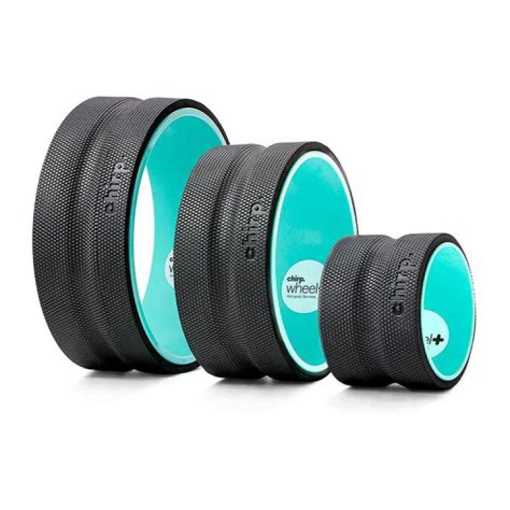 Chirp Wheel success