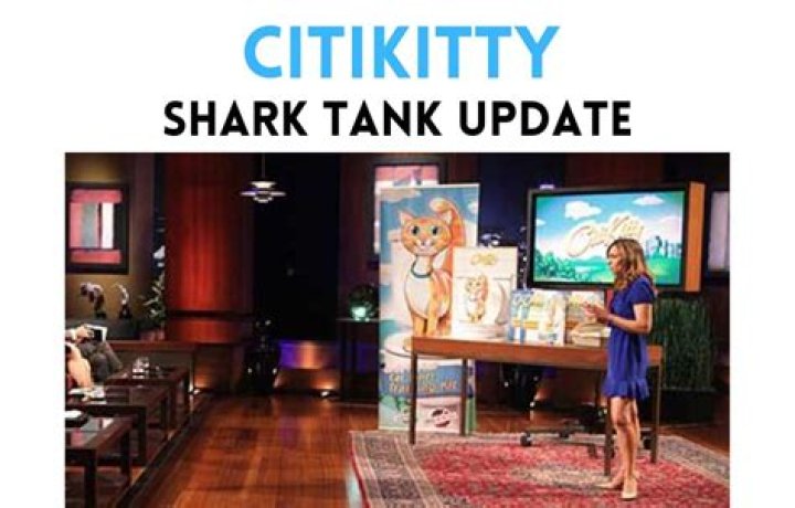CitiKitty net worth CitiKitty net worth