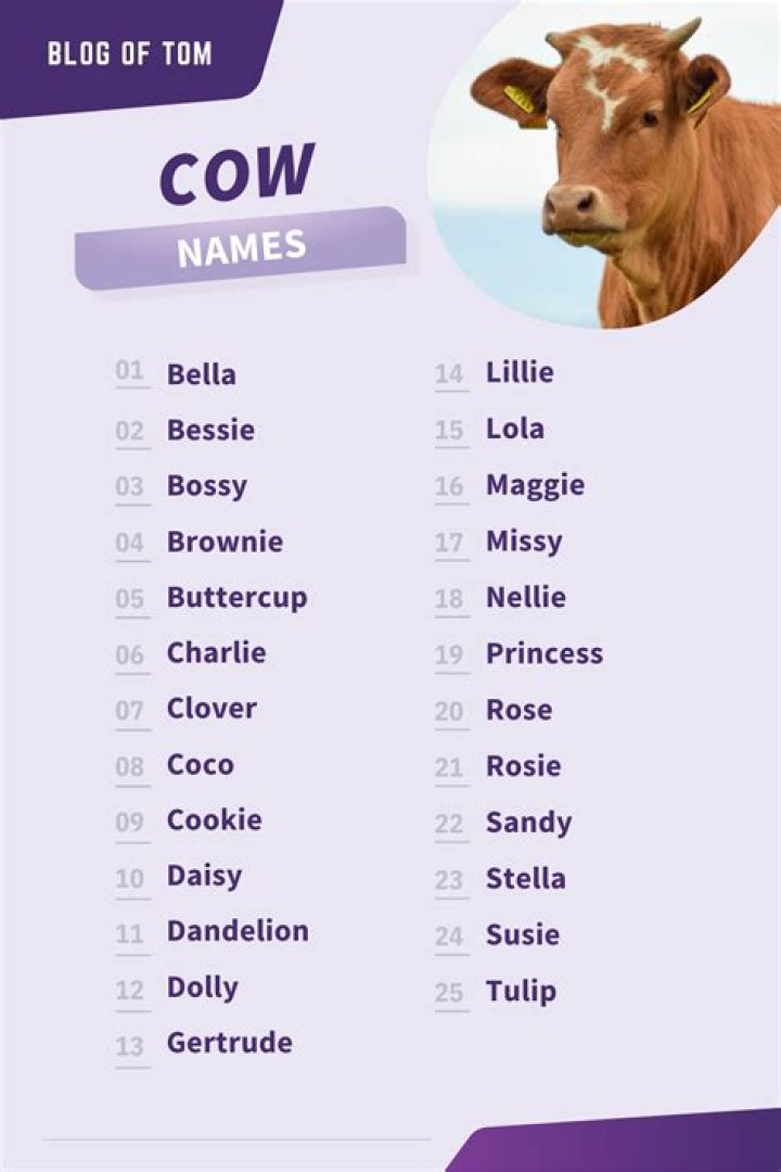 cow names cow names