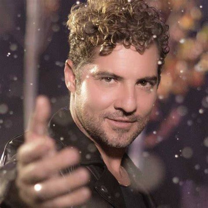 David Bisbal Famous Songs