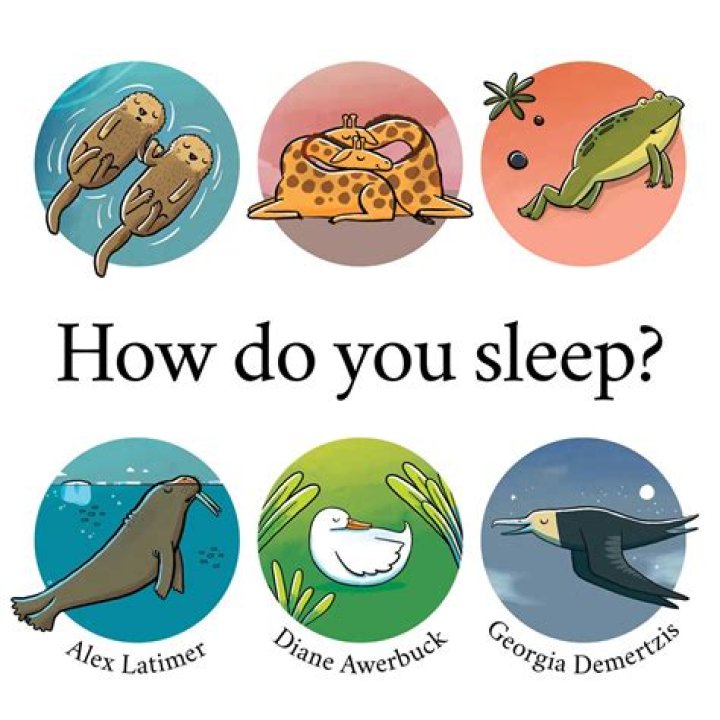 How Do You Sleep? - Sam Smith - r&b music to sleep to