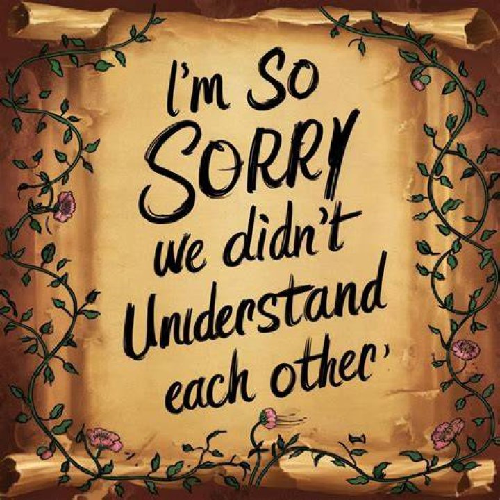 I Did Not Understand