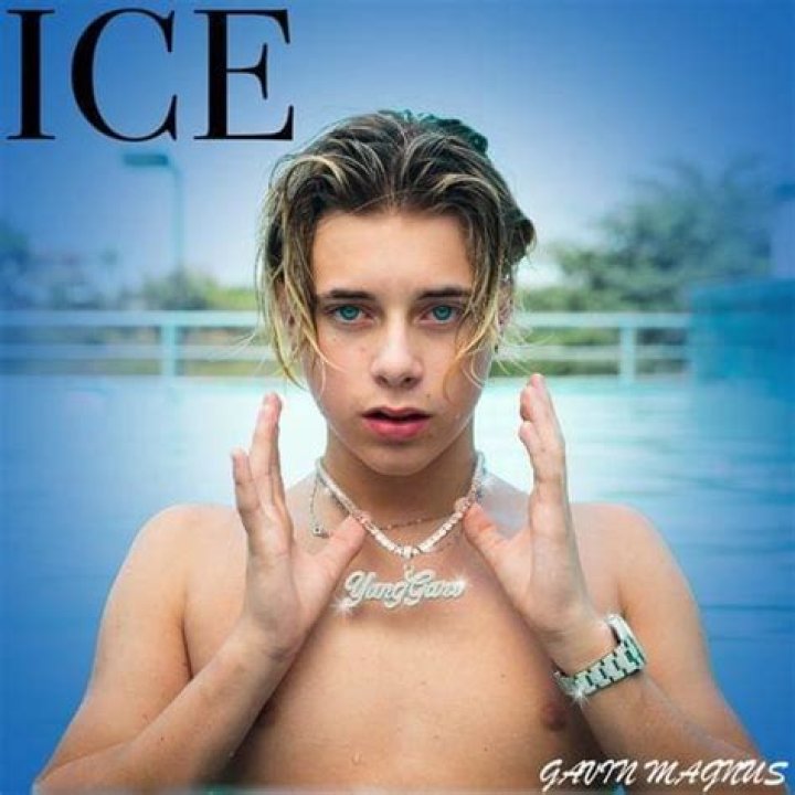 Ice - Gavin Magnus - songs from ice age the meltdown