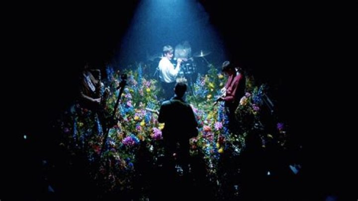 Iceage - Under The Sun (AZUMA MAKOTO FLORAL INSTALLATION &ldquo;CRAZY GARDEN &times; ICEAGE&rdquo;) - songs from ice age 3