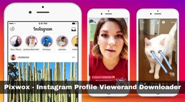 Instagram viewer and downloader Instagram viewer and downloader