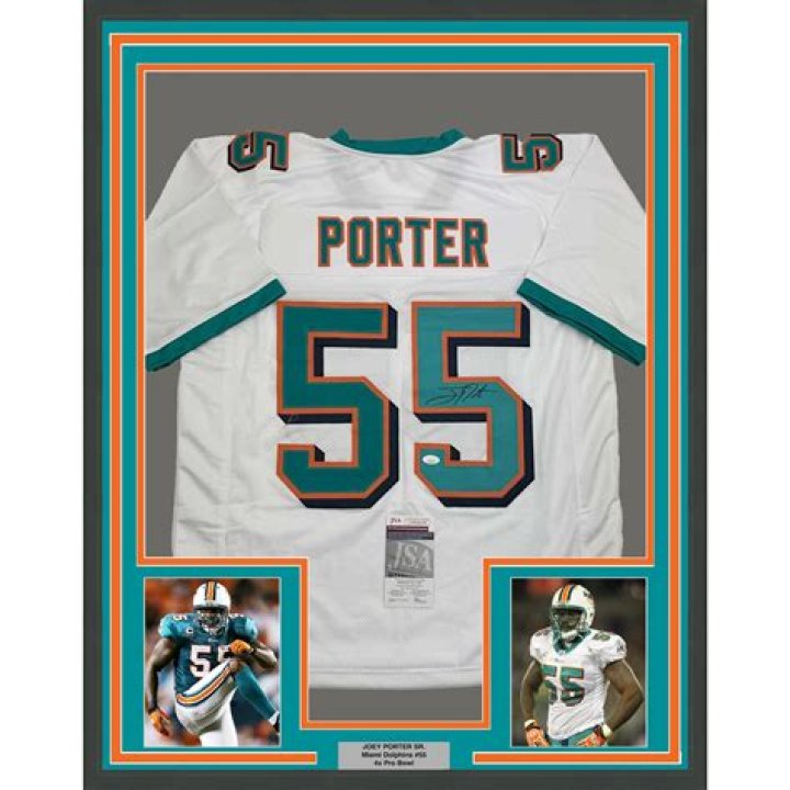 joey porter miami dolphins contract