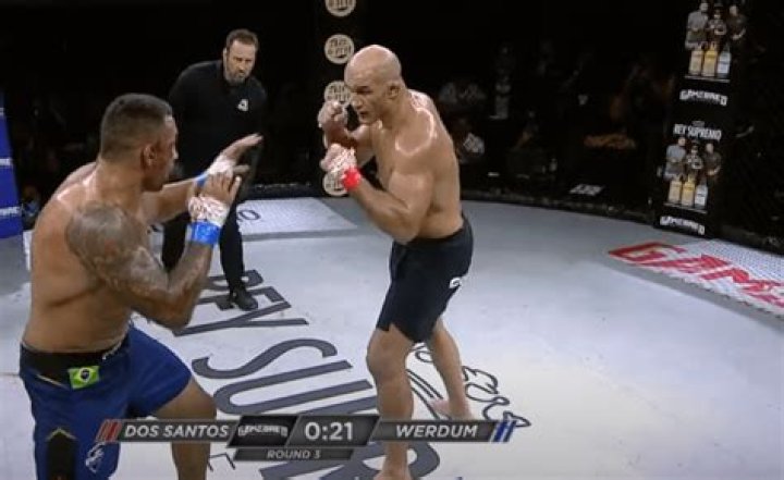 junior dos santos fighting style junior dos santos fighting style