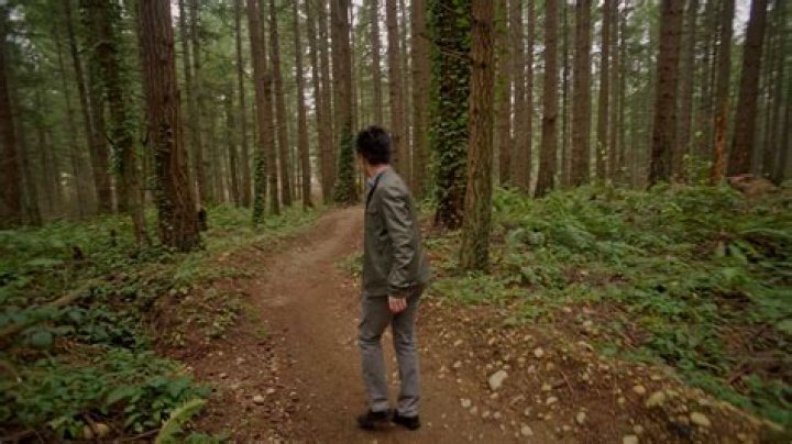 Lost In The Woods - Weezer - sondheim audition songs for into the woods