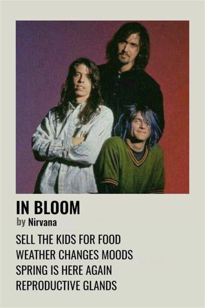 Nanock - In Bloom (Nirvana Punk Rock Cover) - NIRVANA(RARE SONGS)HOLE,ALICE IN CHAINS..