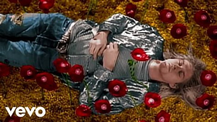 Nirvana - Heart-Shaped Box (Director's Cut) - Nirvana/Offspring/Blink/Greenday/Sum41/Simpleplan/Riseagains