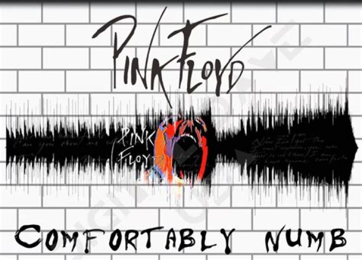 Pink Floyd - Comfortably numb - Violin Cover - violin cover rock songs