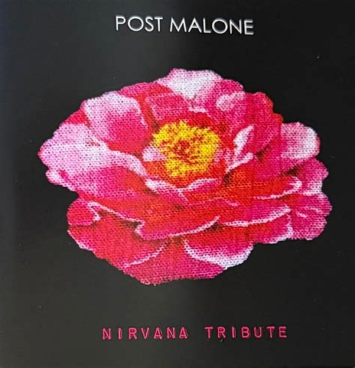 Post Malone x Nirvana Tribute - Livestream - weird nirvana songs