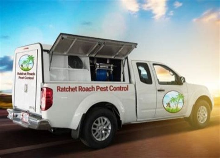 Ratchet Roach's Photo