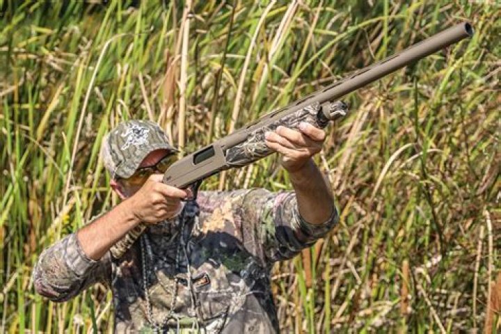 shotgun hunting shotgun hunting