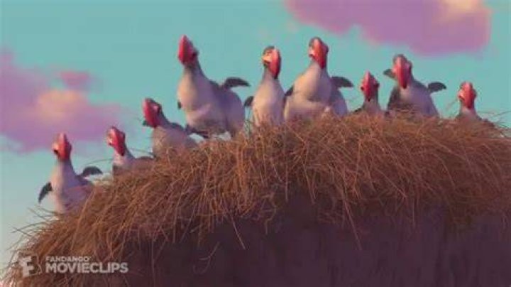 Sid vs The Dodos Scene - ICE AGE (2002) Movie Clip - songs from ice age the movie