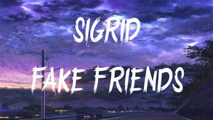 Sigrid - Fake Friends (Lyrics / Lyric Video) - songs about fake friends 2021