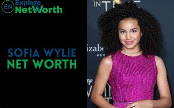 Sofia Wylie net worth Sofia Wylie net worth
