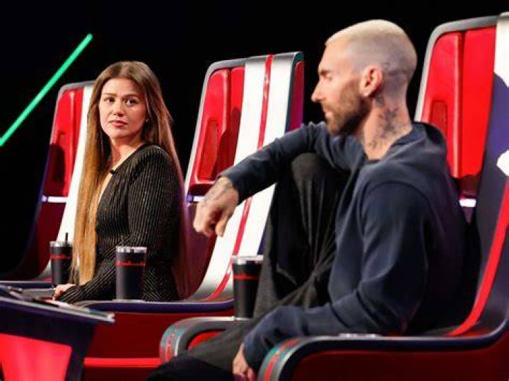The Voice Coaches The Voice Coaches