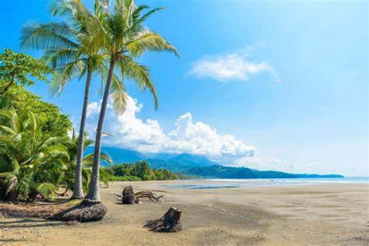 Top 100 Best Costa Rican Songs Of All The Time